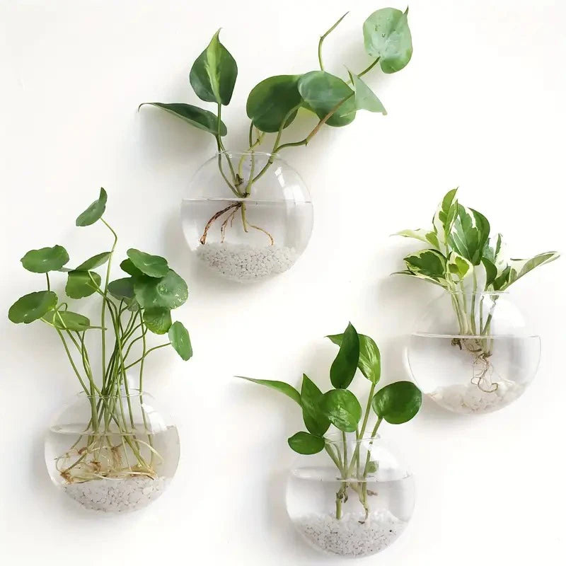 Wall Hanging Glass Plant Terrarium