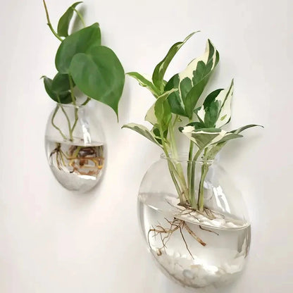 Wall Hanging Glass Plant Terrarium