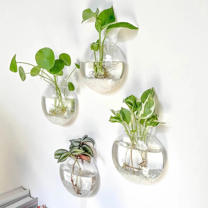 Wall Hanging Glass Plant Terrarium